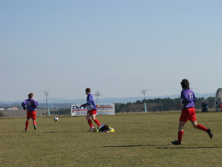 IMG_7875.jpg