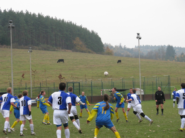 IMG_6231.jpg
