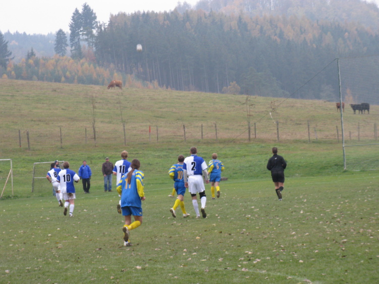 IMG_6237.jpg