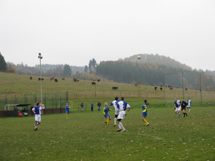 IMG_6243.jpg