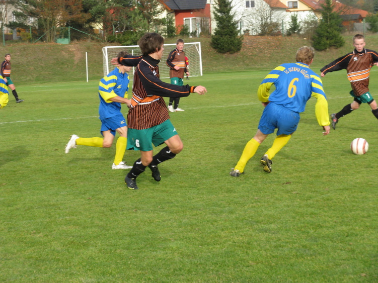 IMG_6520.jpg